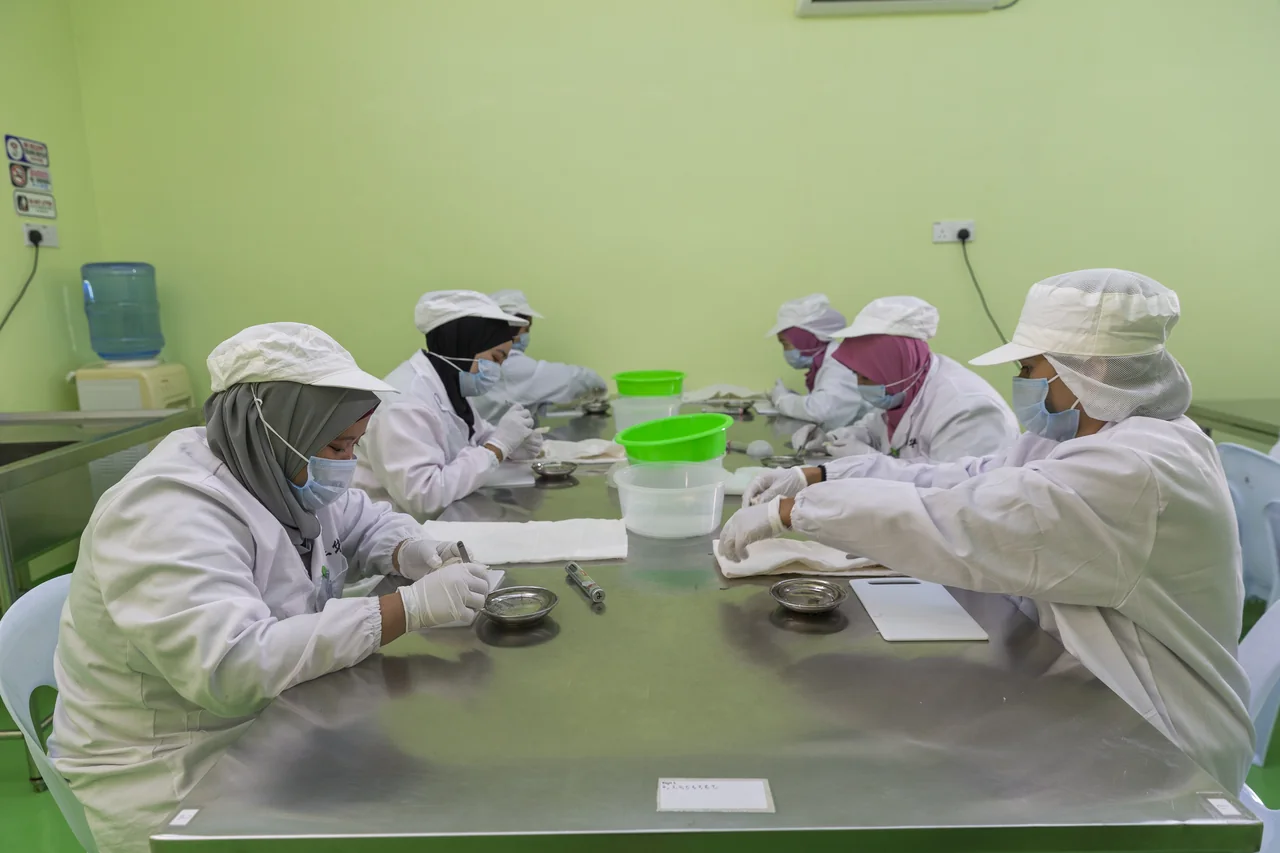 The processing team carefully cleaning bird’s nest together
