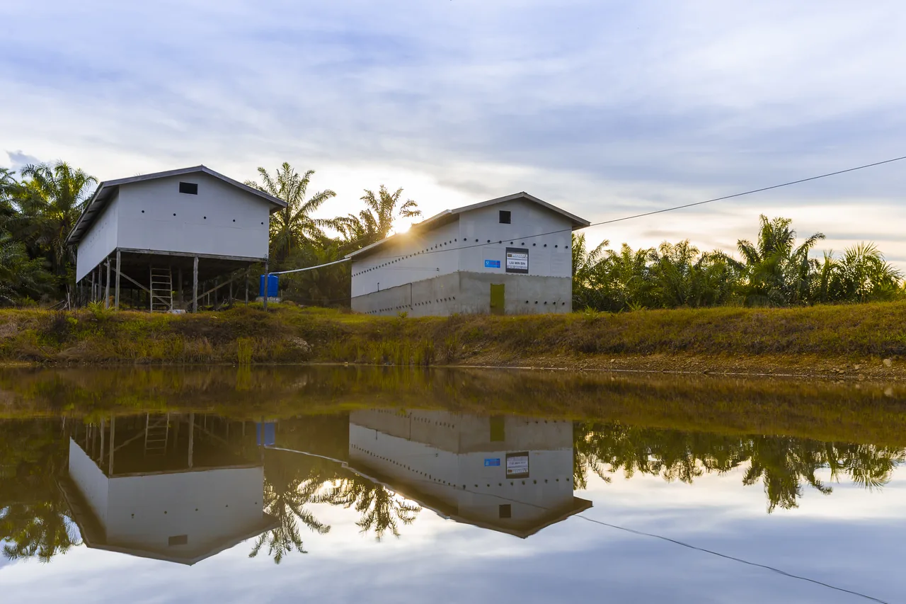 Swiftlet houses reflected in the water at sunset